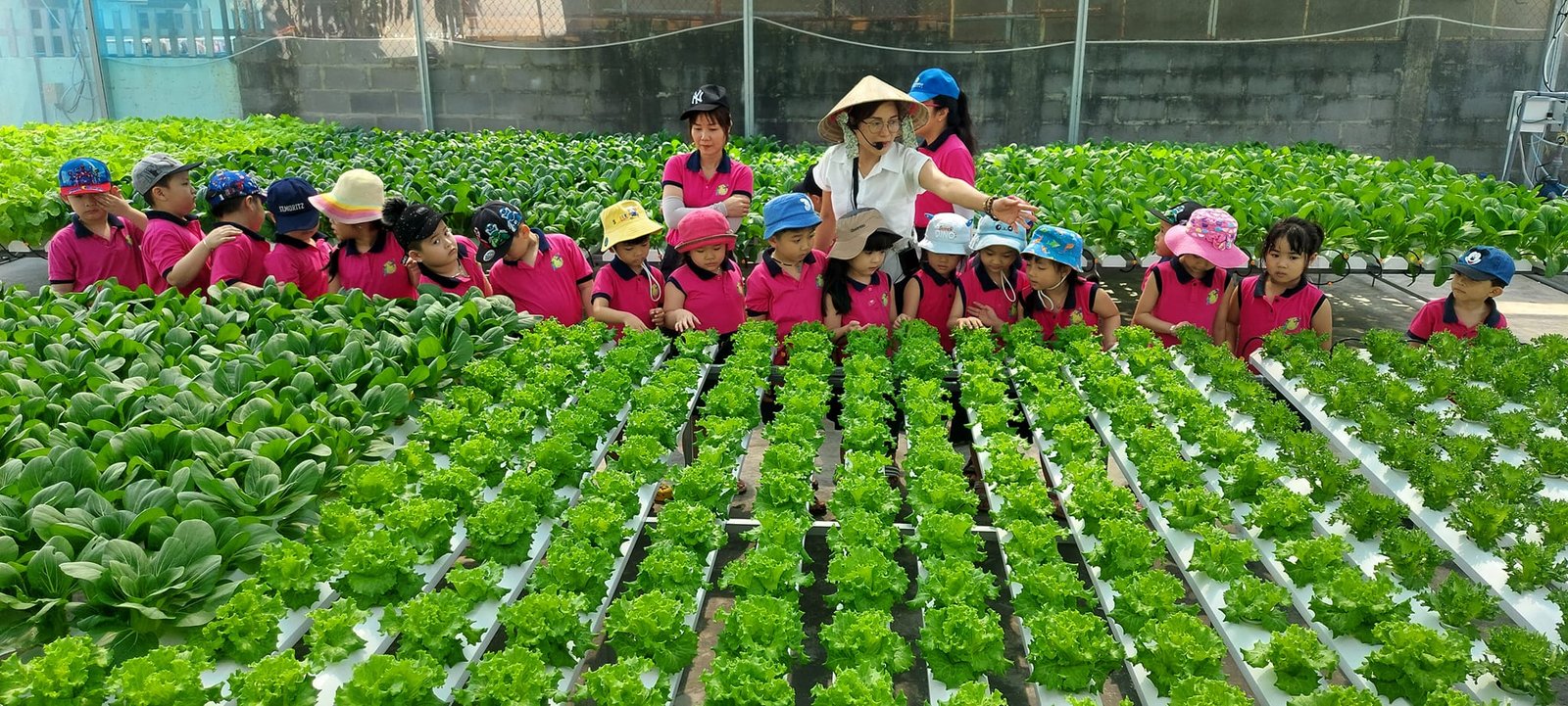 Farm đón tiếp các bạn nhỏ của các trường